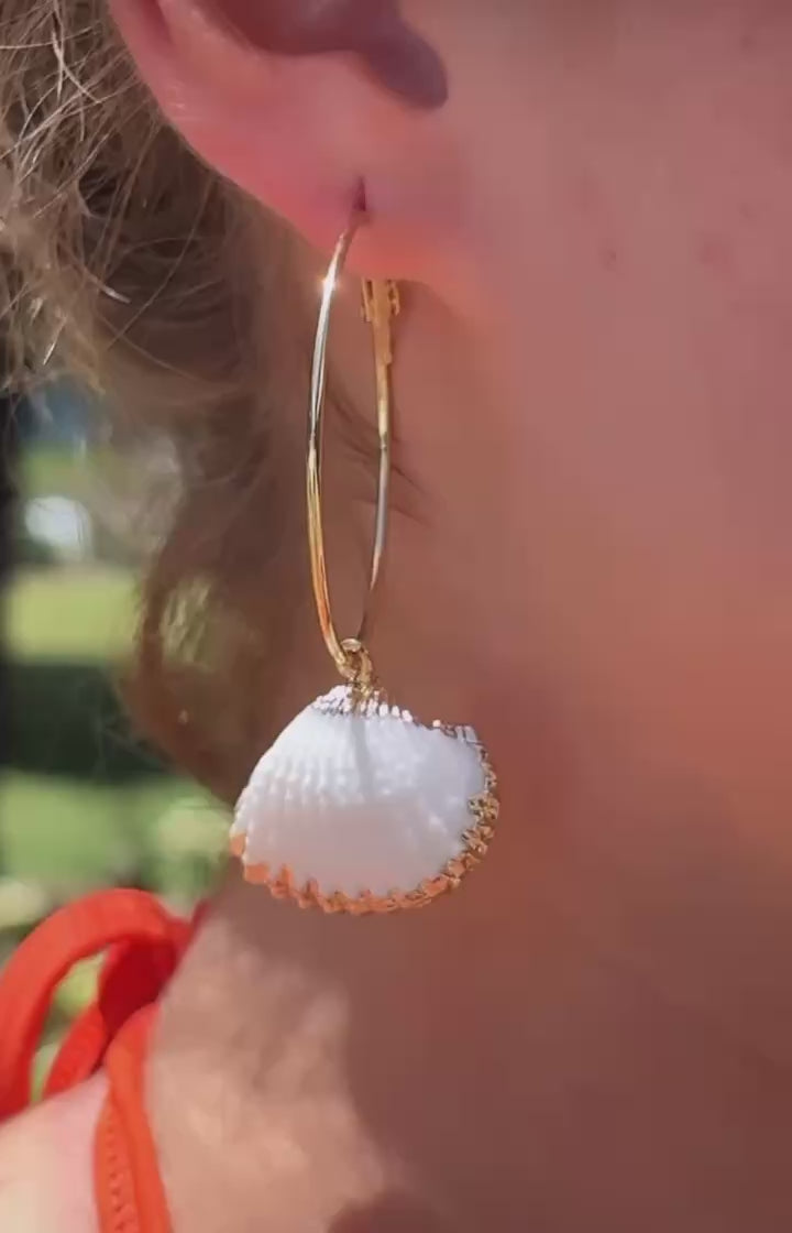 Shell Hoops